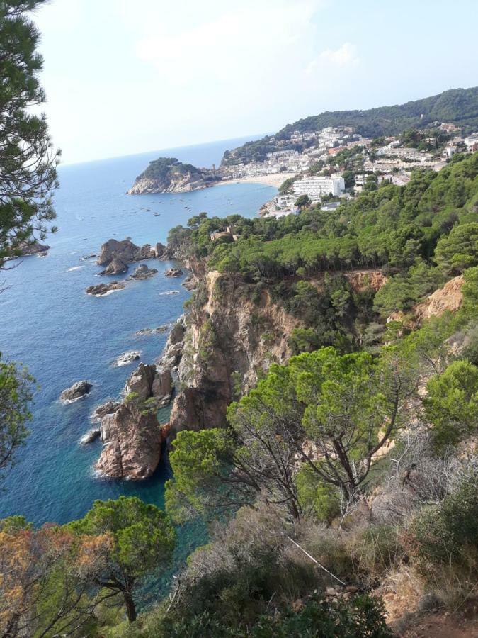 Apartamento Martin Tossa de Mar Eksteriør billede